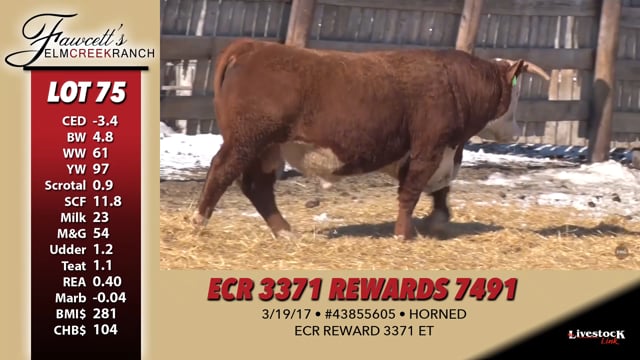 Lot #75 - ECR 3371 REWARDS 7491