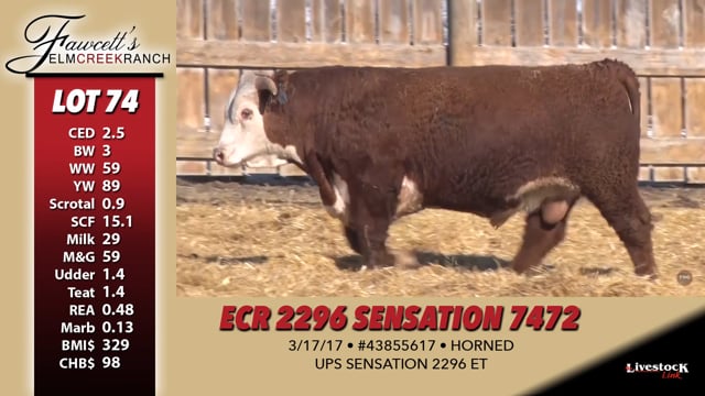 Lot #74 - ECR 2296 SENSATION 7472