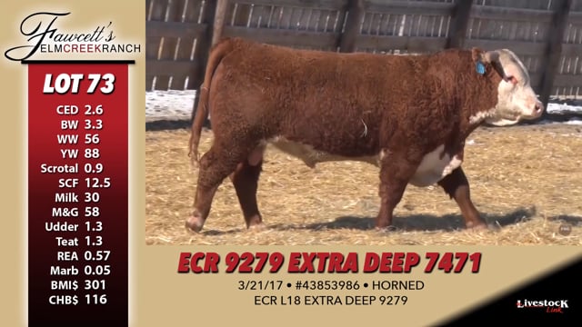 Lot #73 - ECR 9279 EXTRA DEEP 7471