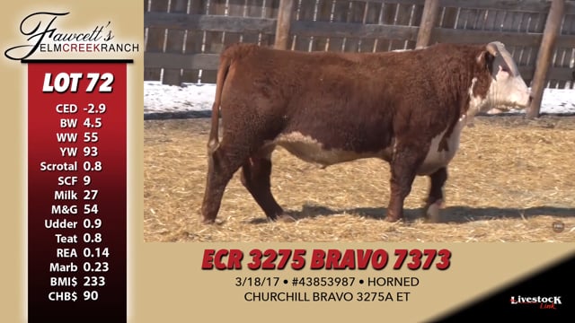 Lot #72 - ECR 3275 BRAVO 7373