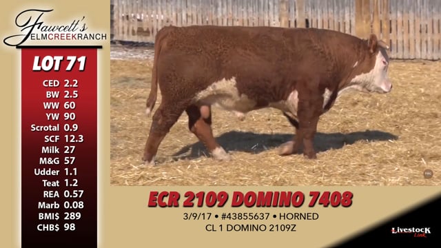 Lot #71 - ECR 2109 DOMINO 7408
