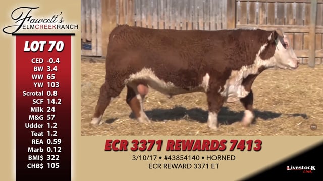 Lot #70 - ECR 3371 REWARDS 7413