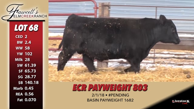 Lot #68 - ECR PAYWEIGHT 803