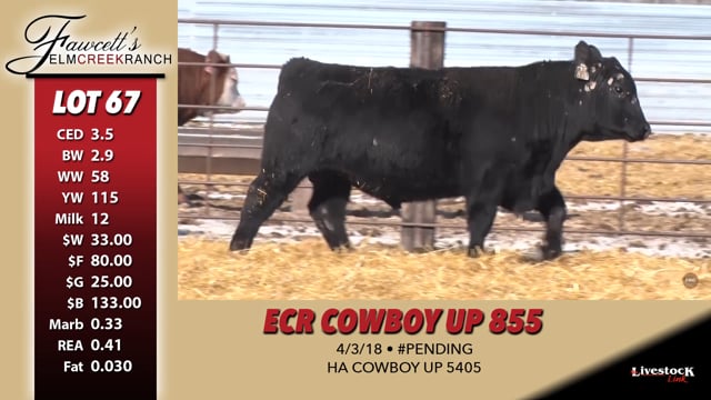 Lot #67 - ECR COWBOY UP 855
