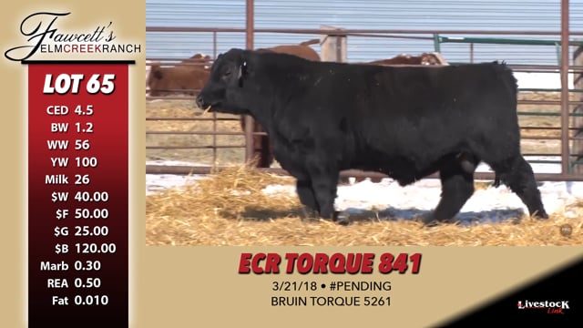 Lot #65 - ECR TORQUE 841
