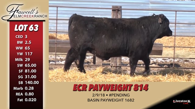 Lot #63 - ECR PAYWEIGHT 814