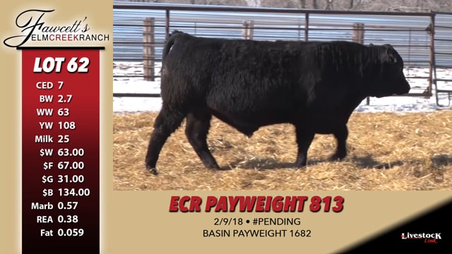 Lot #62 - ECR PAYWEIGHT 813
