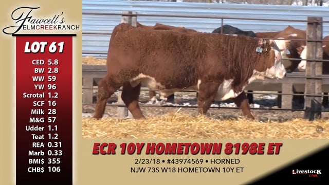 Lot #61 - ECR 10Y HOMETOWN 8198E ET