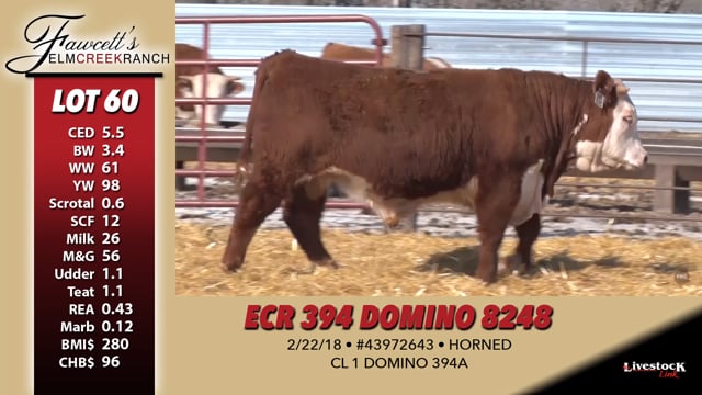 Lot #60 - ECR 394 DOMINO 8248