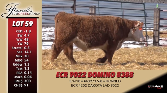 Lot #59 - ECR 9022 DOMINO 8388