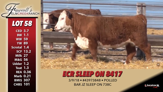 Lot #58 - ECR SLEEP ON 8417