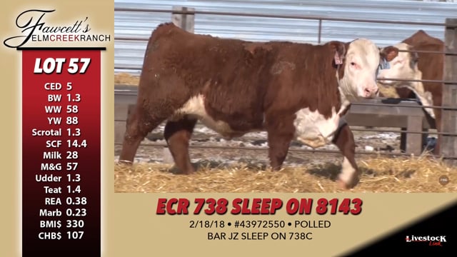 Lot #57 - ECR 738 SLEEP ON 8143