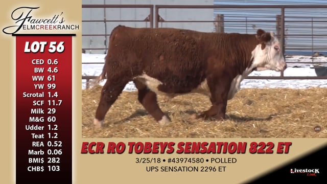 Lot #56 - ECR RO TOBEYS SENSATION 822 ET