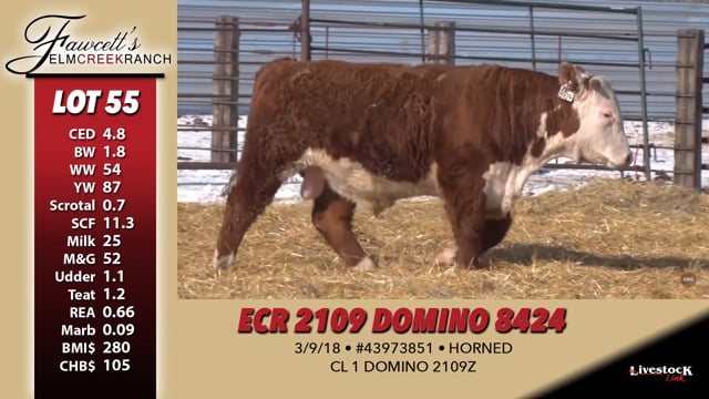 Lot #55 - ECR 2109 DOMINO 8424