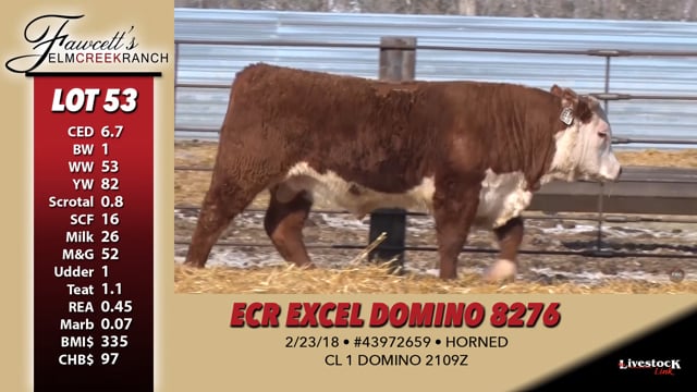 Lot #53 - ECR EXCEL DOMINO 8276