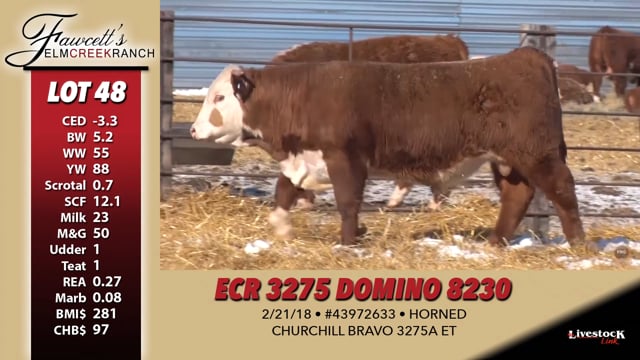 Lot #48 - ECR 3275 DOMINO 8230
