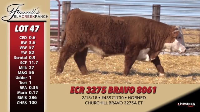 Lot #47 - ECR 3275 BRAVO 8061