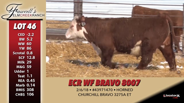 Lot #46 - ECR WF BRAVO 8007