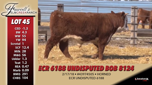 Lot #45 - ECR 6188 UNDISPUTED BOB 8124