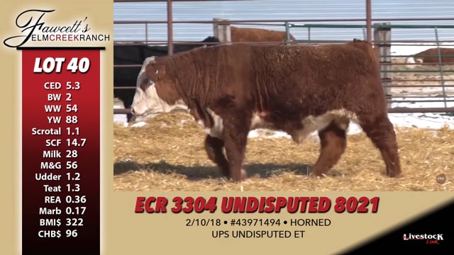 Lot #40 - ECR 3304 UNDISPUTED 8021