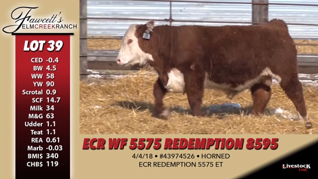 Lot #39 - ECR WF 5575 REDEMPTION 8595