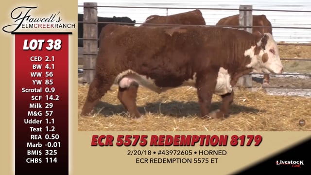 Lot #38 - ECR 5575 REDEMPTION 8179