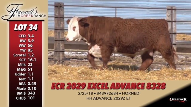Lot #34 - ECR 2029 EXCEL ADVANCE 8328