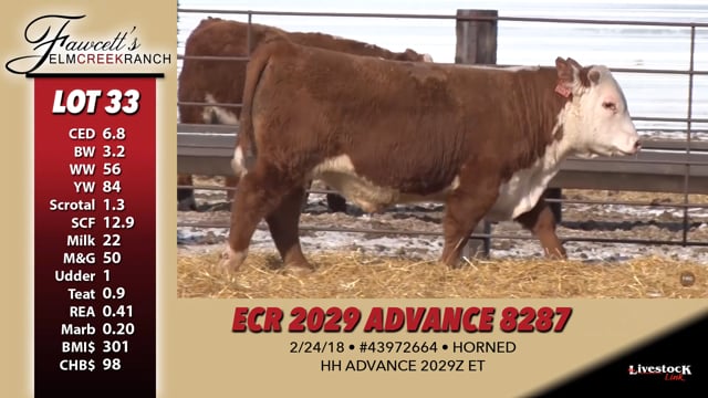 Lot #33 - ECR 2029 ADVANCE 8287