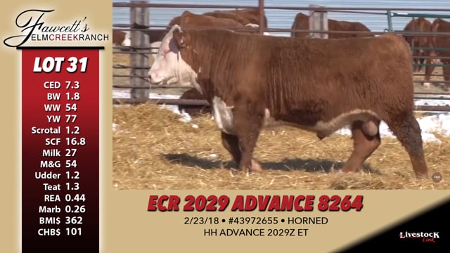 Lot #31 - ECR 2029 ADVANCE 8264