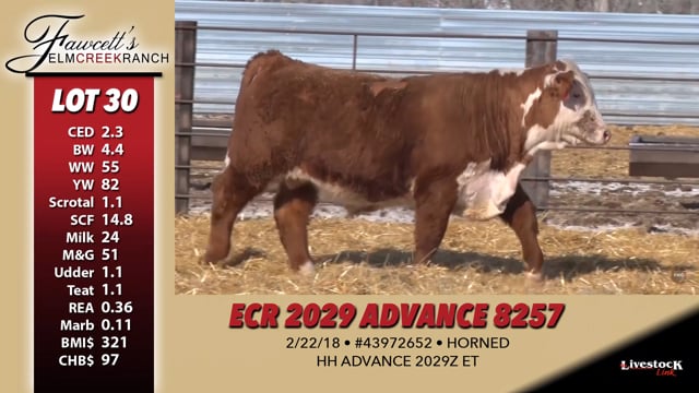 Lot #30 - ECR 2029 ADVANCE 8257