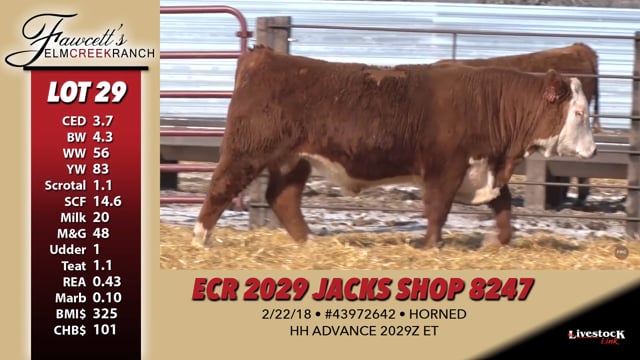 Lot #29 - ECR 2029 JACKS SHOP 8247