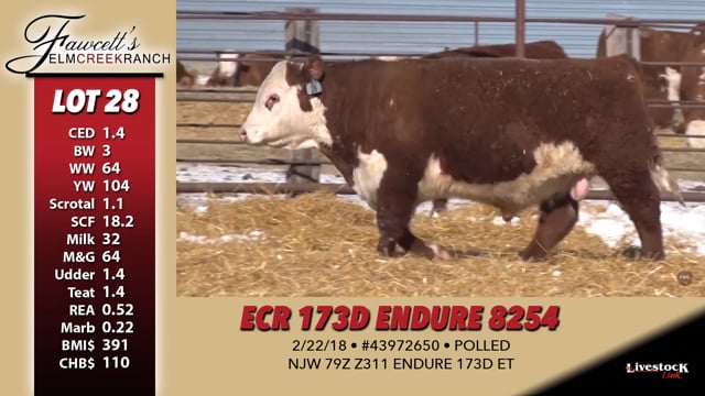 Lot #28 - ECR 173D ENDURE 8254