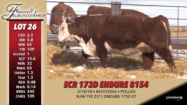 Lot #26 - ECR 173D ENDURE 8154