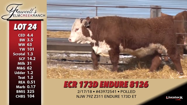 Lot #24 - ECR 173D ENDURE 8126