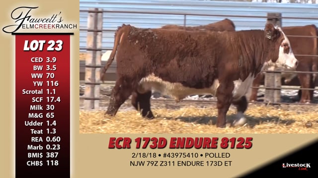 Lot #23 - ECR 173D ENDURE 8125