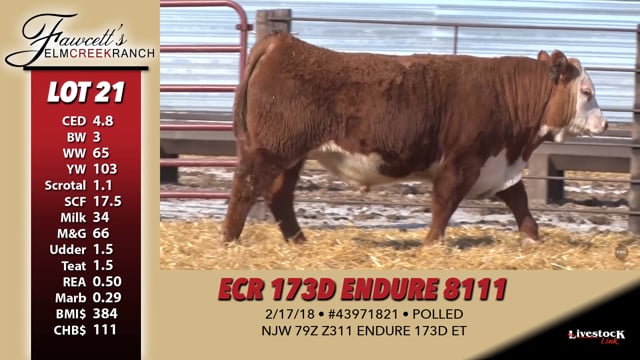 Lot #21 - ECR 173D ENDURE 8111