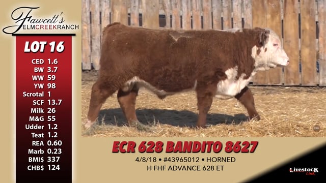 Lot #16 - ECR 628 ADVANCE 8627