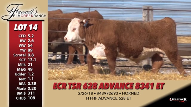 Lot #14 - ECR TSR 628 ADVANCE 8341 ET