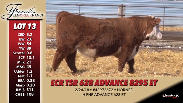 Lot #13 - ECR TSR 628ADVANCE 8295 ET