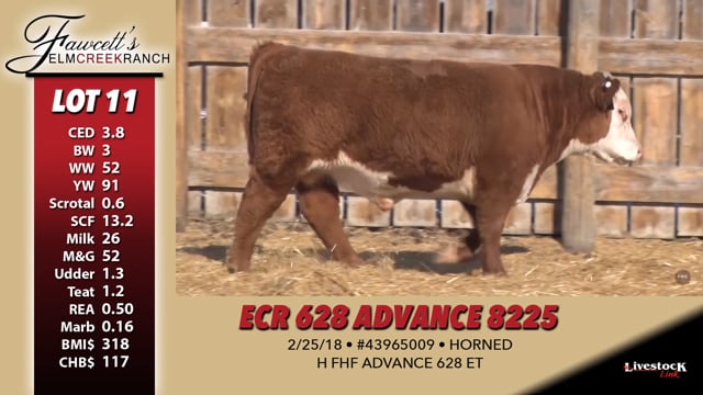 Lot #11 - ECR 628 ADVANCE 8225