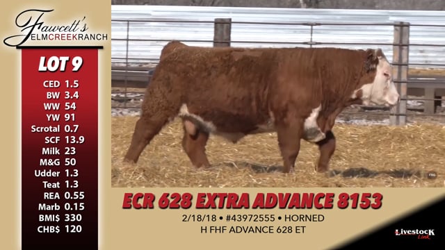 Lot #9 - ECR 628 EXTRA ADVANCE 8153