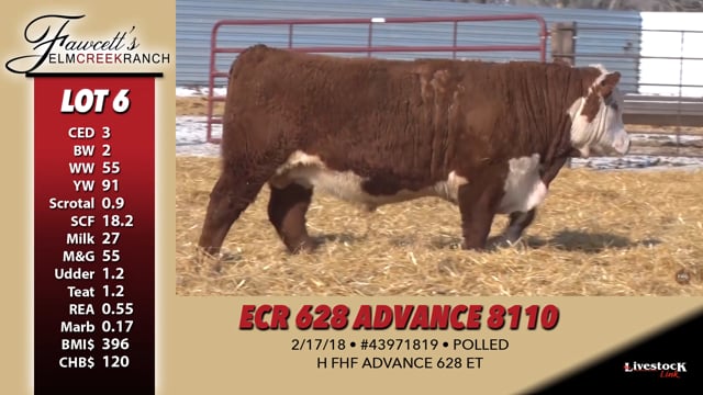 Lot #6 - ECR 628 ADVANCE 8110