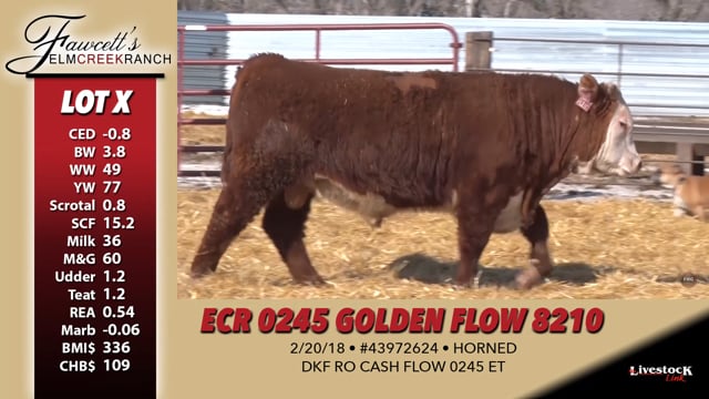 Lot #X - ECR 0245 GOLDEN FLOW 8210