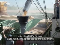 Vietnamese Subtitling Bunge