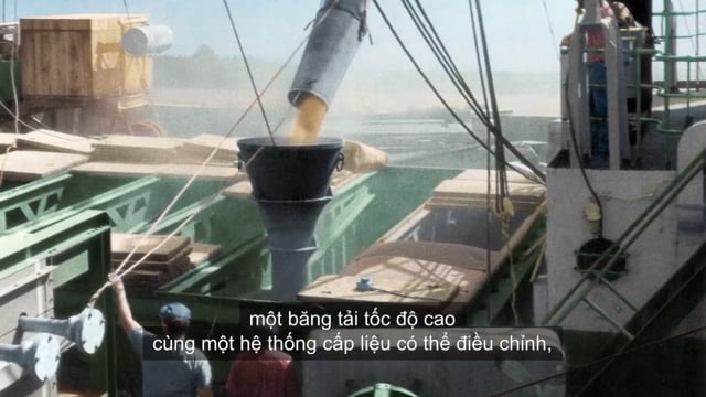 Vietnamese Subtitling Bunge