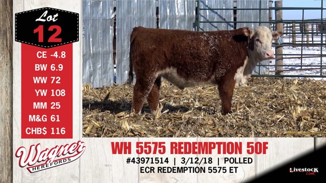 Lot #12 - WH 5575 REDEMPTION 50F