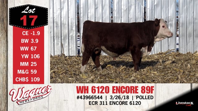 Lot #17 - WH 6120 ENCORE 89F