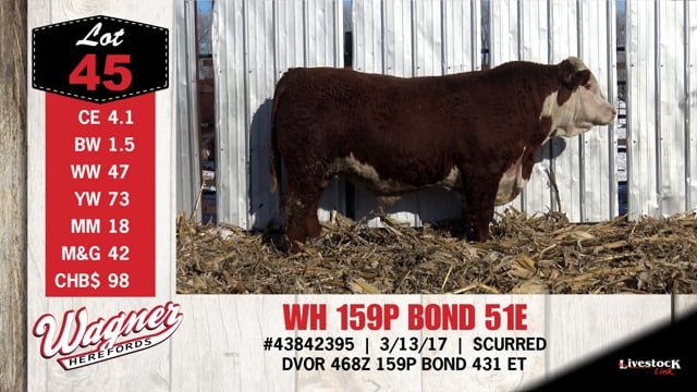 Lot #45 - WH 159P BOND 51E