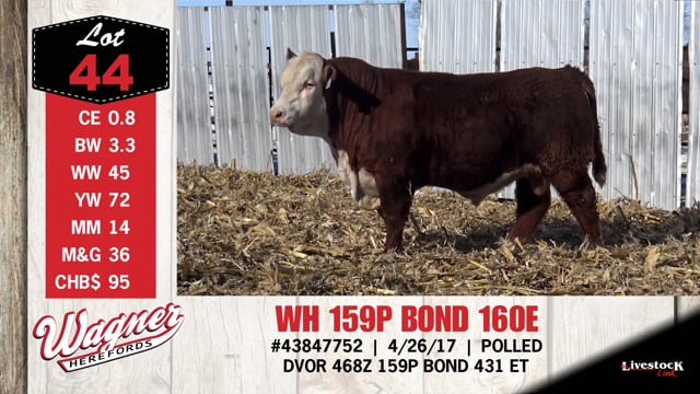 Lot #44 - WH 159P BOND 160E