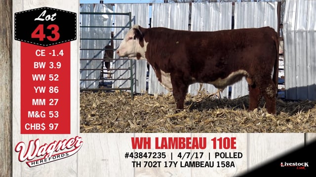 Lot #43 - WH LAMBEAU 110E